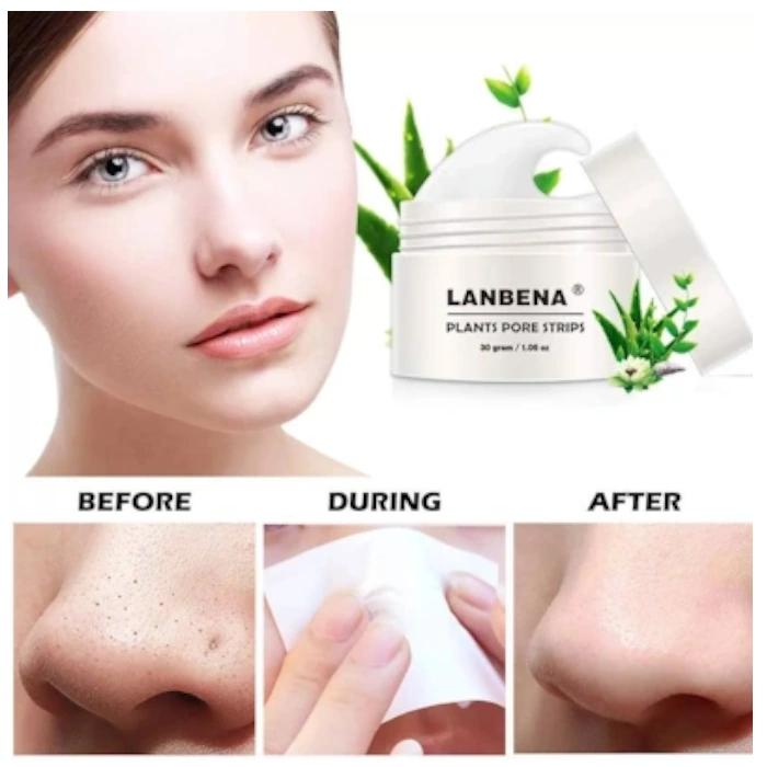 چسب جوش سر سیاه بینی لانبنا